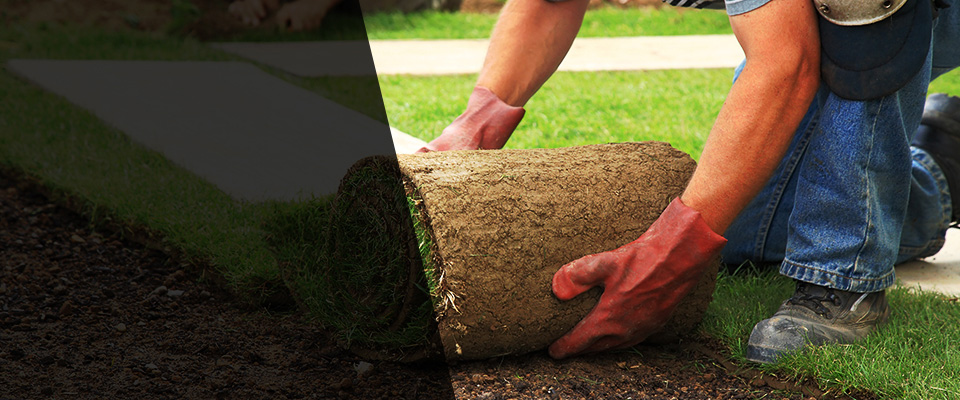 Bristol Landscapers